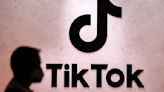 Parlamento danés insta a borrar TikTok por ciberseguridad