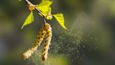 The first farmers often made landscapes more biodiverse – our research could have lessons for rewilding today