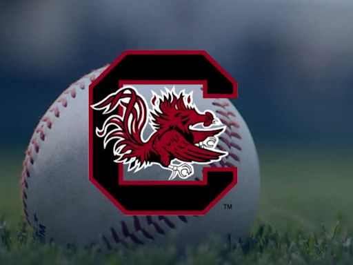 South Carolina baseball team drops second straight game to Georgia