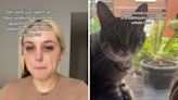 Woman "sobbing" over her missing cat finds him in the unlikeliest of places