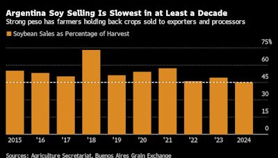 Overvalued Peso Puts Brakes on Soybean Sales in Argentina