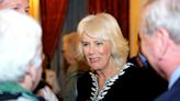 Harry labels Camilla ‘the villain’ and ‘dangerous’