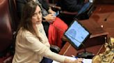 Ley Ómnibus: habrá sesión en el Senado el miércoles próximo | Victoria Villarruel confirmó la convocatoria al recinto