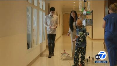 Stanford program matches young patients with robot puppies to relieve anxiety