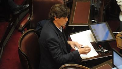 Martín Lousteau propuso que los senadores cobren lo mismo que un director de escuela | Política