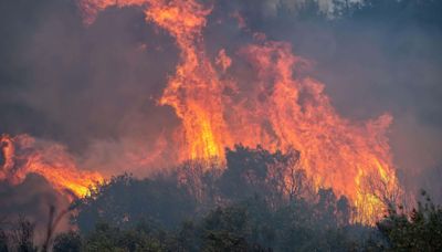 Wildfires in Canada and the Amazon made more likely by climate change – report