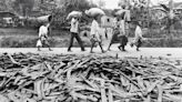 Three decades after Rwanda’s genocide, the past is ever-present