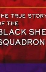 History Undercover: The True Story of the Black Sheep Squadron