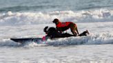 Muere perra surfista que ayudó a sinfín de personas