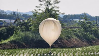 'Soft terrorism': Pyongyang's trash-filled balloons disrupted more than 100 flights in South Korea