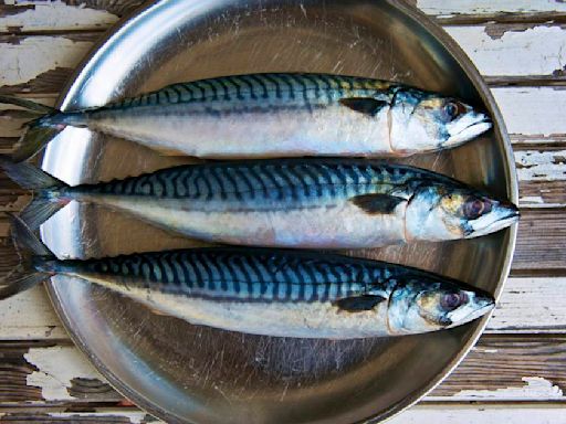 Caballa marinada con paté de berenjena