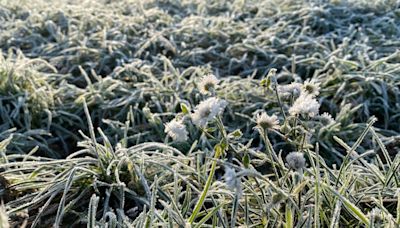 ¡A abrigarse! DMC emite alerta por bajas temperaturas en cuatro regiones de Chile