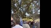 US: Pro-Palestine, Pro-Israel Protesters Clash At UCLA 2