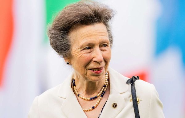 Princess Anne Leaves Hospital to Continue Recovery at Home After Concussion in Horse 'Incident'
