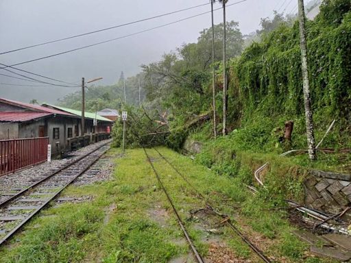 小火車將開了！阿里山森林遊樂區林鐵支線29日復駛