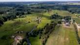 Rare wetland in a Michigan backyard protects unique plants, endangered wildlife