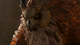 Larian Studios' Swen Vincke is loving players' systems-based hijinks in Baldur's Gate 3: 'everybody knows about the Owlbear now'