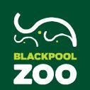 Blackpool Zoo