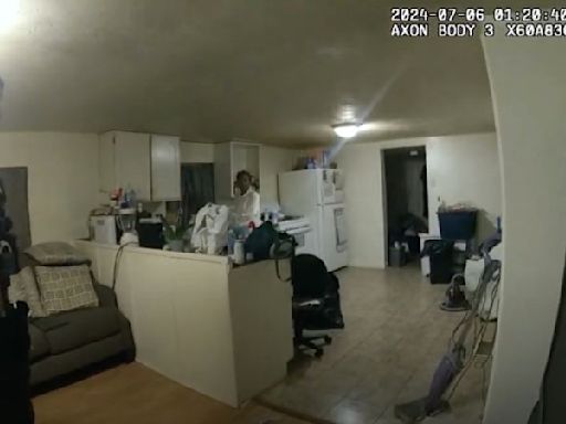 Illinois police release bodycam video of fatal shooting of Black woman in her home