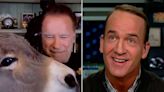 Peyton Manning Looks Stunned While Arnold Schwarzenegger Coos at His Pet Donkey on ‘ManningCast’