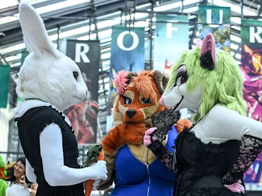 School district responds to rumors of kids identifying as 'furries' after student protest