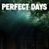 Perfect Days