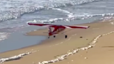 Video: Stolen Plane Emergency Lands Near Mavericks