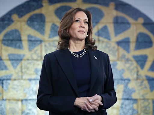 Kamala Harris Endorsed for President by 88 Business Leaders Including James Murdoch, Peter Chernin, Mark Cuban, Barry Diller