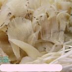 【萬象極品】鳳尾翅 / 約600g/盒/魚翅~ 輕鬆做料理 ~ 魚翅羹上桌~