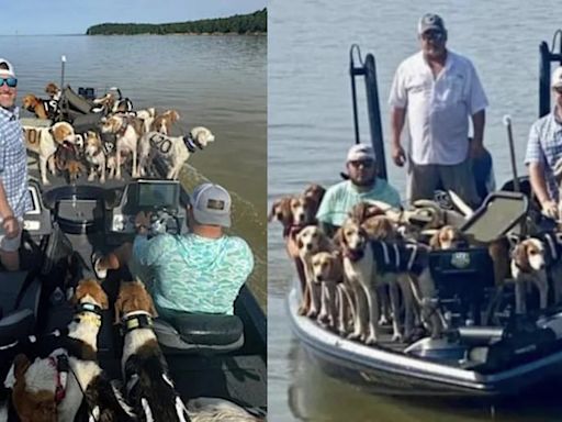 Pescadores rescataron a 38 perros que se encontraban flotando en el río Misisipi desorientas y sin poder volver a la orilla