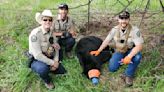 Colorado wildlife officers rescue cub from wire fence in Evergreen