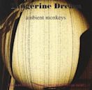 Ambient Monkeys