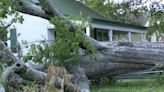 Storm damage victims work to fix up their property