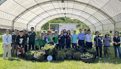 「炭索小花蔓澤蘭的浪漫」 守護環境轉化綠色新價值 | 蕃新聞