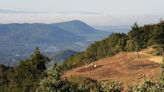 Former Tiger Woods golf course site for sale at $19M near Asheville; has old site plans