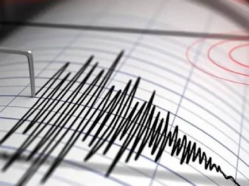 Terremoto de 7.3 sacude Chile. VIDEOS