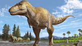 T. rex’s older and equally sizable relative discovered in New Mexico