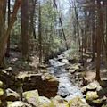 Natchaug State Forest