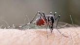 Ohio EPA Awards More Than $1 Million in Grants to 58 Agencies for Mosquito Control