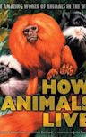 How Animals Live: Amazing World of Animals in the Wild, The