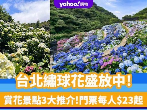 台灣繡球花2024｜台北繡球花花海盛放中！陽明山賞花景點3大推介 門票每人$23起