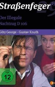 Der Illegale