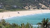 Las playas de Andalucía que podrían desaparecer por la subida del nivel del mar