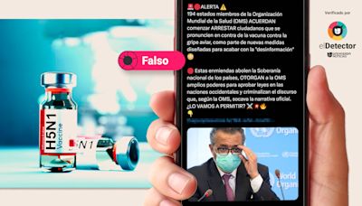 Es falso que países de la OMS acordaron arrestar a críticos de la vacuna contra la gripe aviar