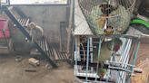 Pune: Parakeets, Hill Myna, Macaque Rescued From Yerawada Slum After PETA India Steps In