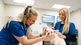 CityVet to bring veterinarian services to Castle Hills