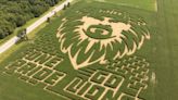 How a Michigan farm has transformed a corn field into a Lions-inspired work of art