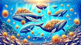 Bitcoin Whales Boost Holdings, Seller Exhaustion Points to Imminent Market Supply Shock - EconoTimes