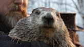 His new shadows: Punxsutawney Phil is a dad to twins