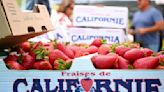 Strawberry delights, vendors galore, rides to thrill open Santa Maria strawberry festival